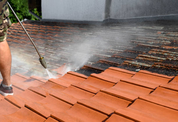 Best Exterior Home Cleaning  in Cotter, AR