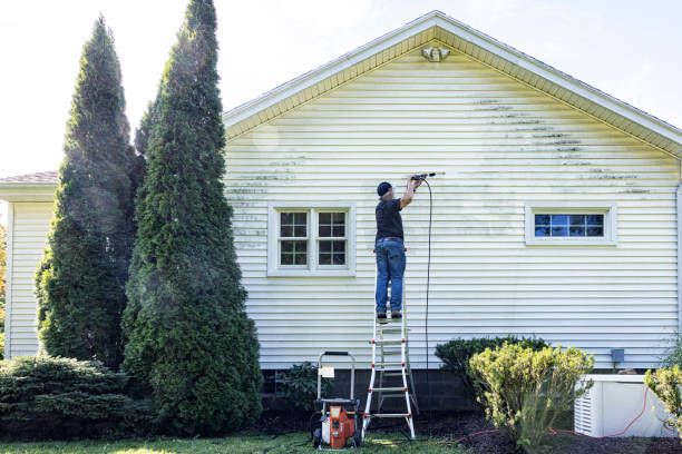 Best Best Pressure Washing Companies  in Cotter, AR