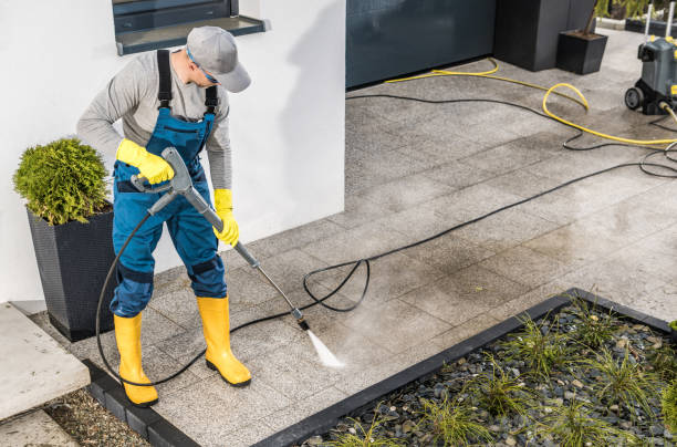 Best Deck Cleaning Services  in Cotter, AR