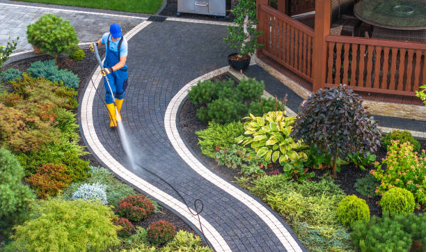 Best Roof Pressure Washing  in Cotter, AR