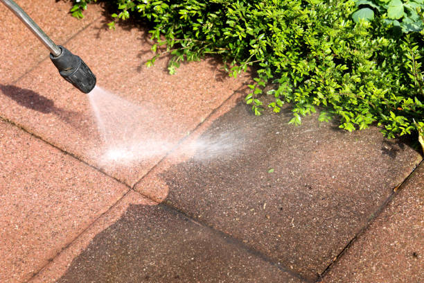 Best House Pressure Washing  in Cotter, AR